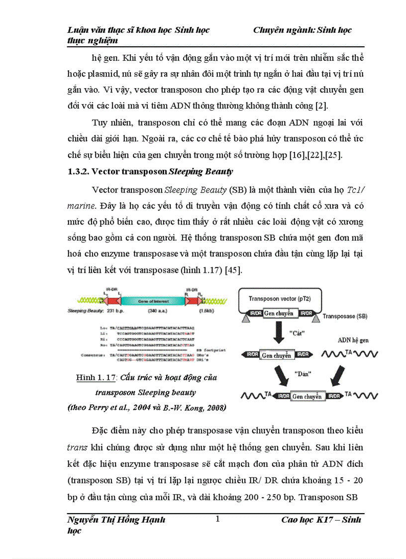 image for page Thử nghiệm chuyển gen GFP trên gà Gallus Gallus Domesticus sử dụng vector pT2 BH CVpf SB11 bằng phương pháp chuyển gen qua tinh trùng và vi tiêm vào phôi gà 0 giờ ấp 1