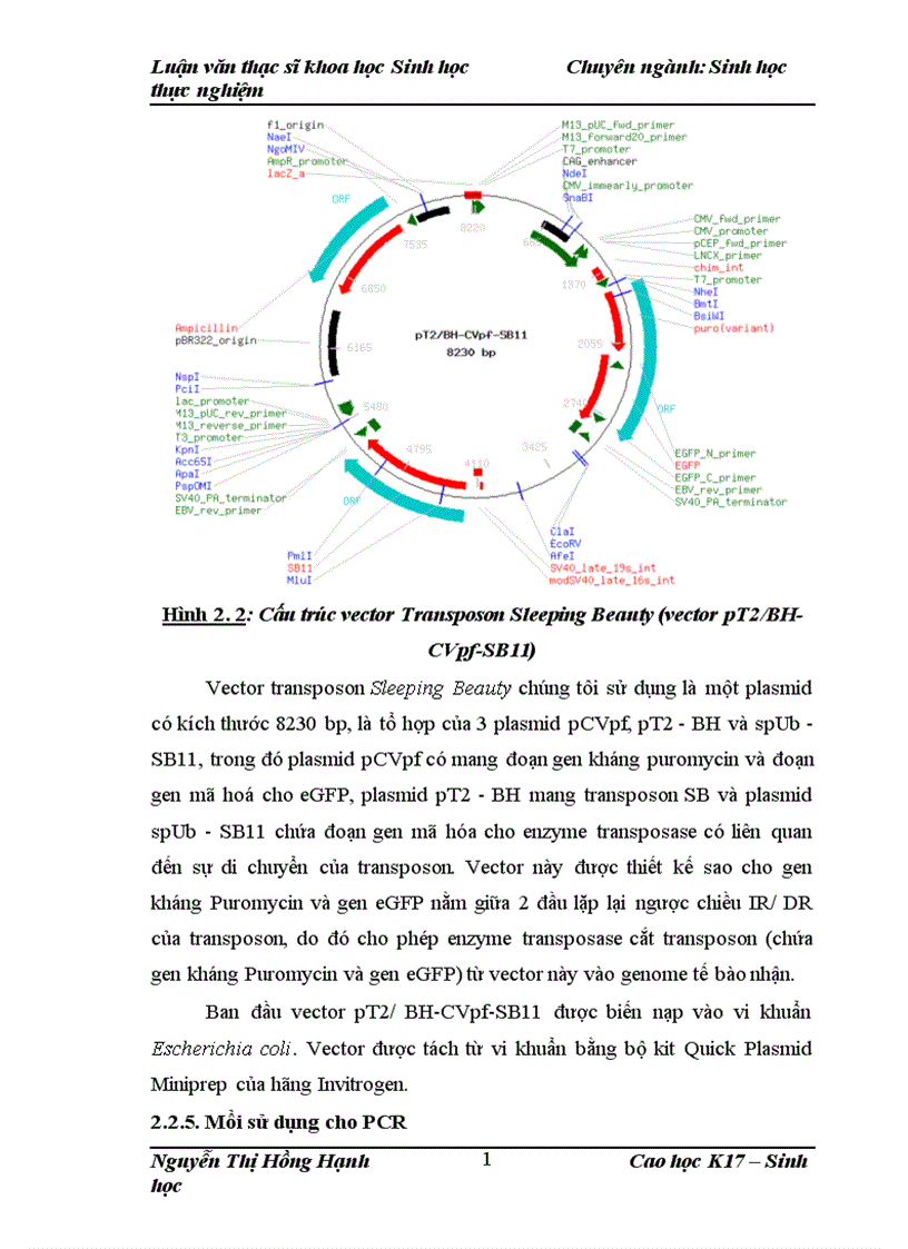 image for page Thử nghiệm chuyển gen GFP trên gà Gallus Gallus Domesticus sử dụng vector pT2 BH CVpf SB11 bằng phương pháp chuyển gen qua tinh trùng và vi tiêm vào phôi gà 0 giờ ấp 1