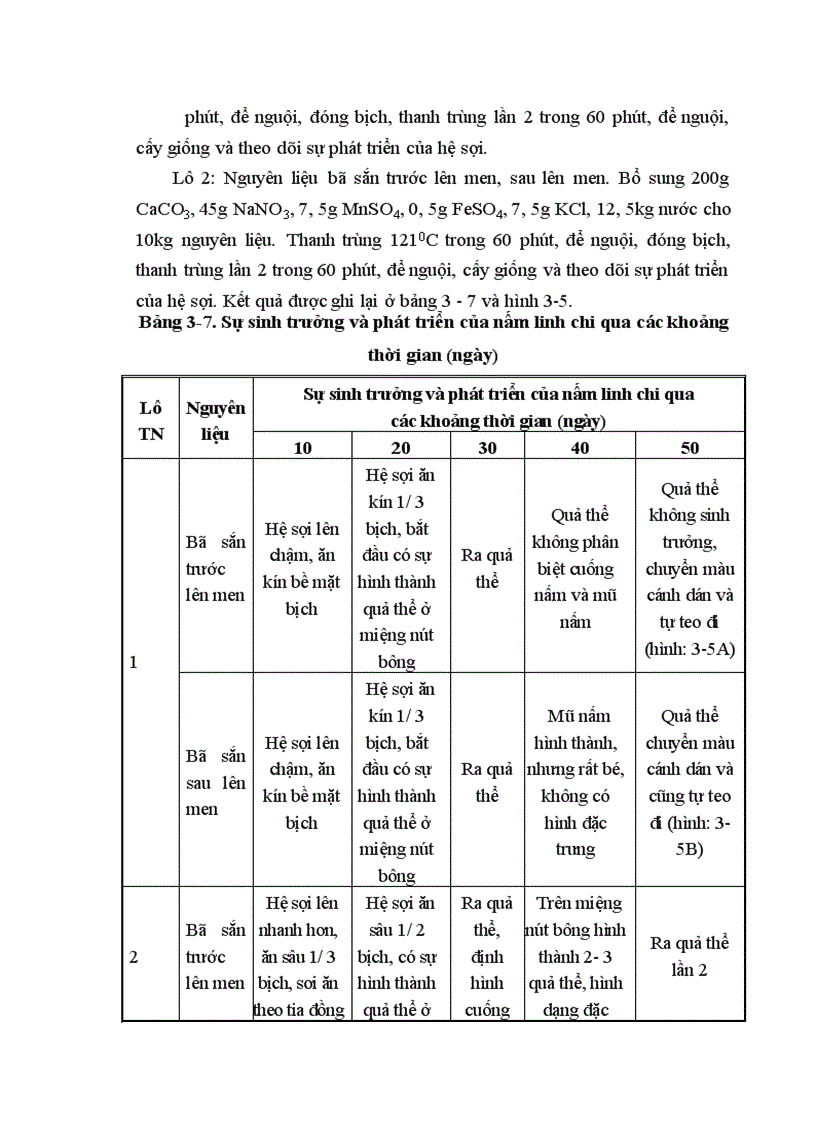 image for page Nghiên cứu hoàn thiện quy trình sử dụng bã sắn trước và sau lên men thu enzyme để nuôi trồng nấm ăn và nấm dược liệu