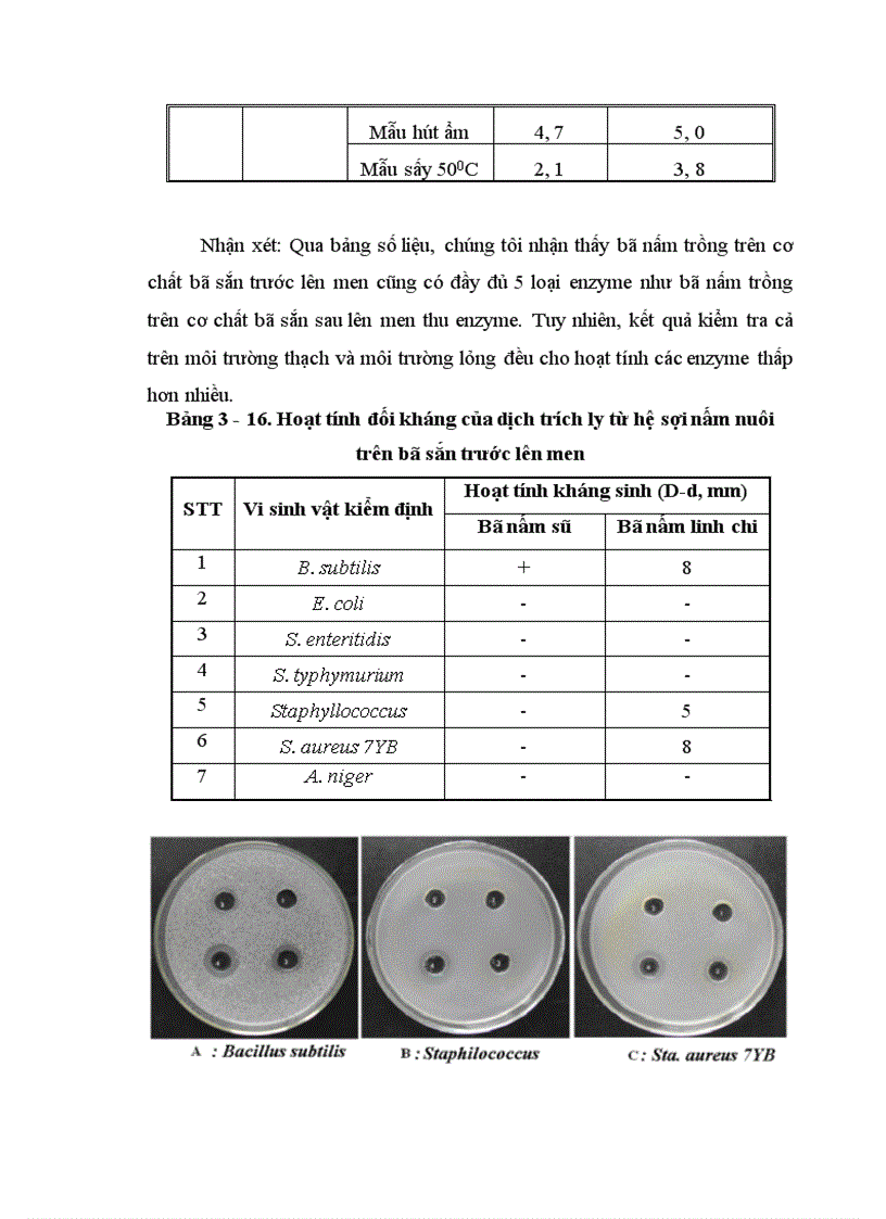image for page Nghiên cứu hoàn thiện quy trình sử dụng bã sắn trước và sau lên men thu enzyme để nuôi trồng nấm ăn và nấm dược liệu