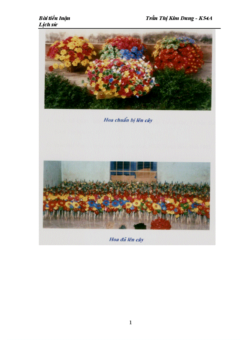 image for page Tìm hiểu về nghê la m hoa giâ y ơ la ng thanh tiên