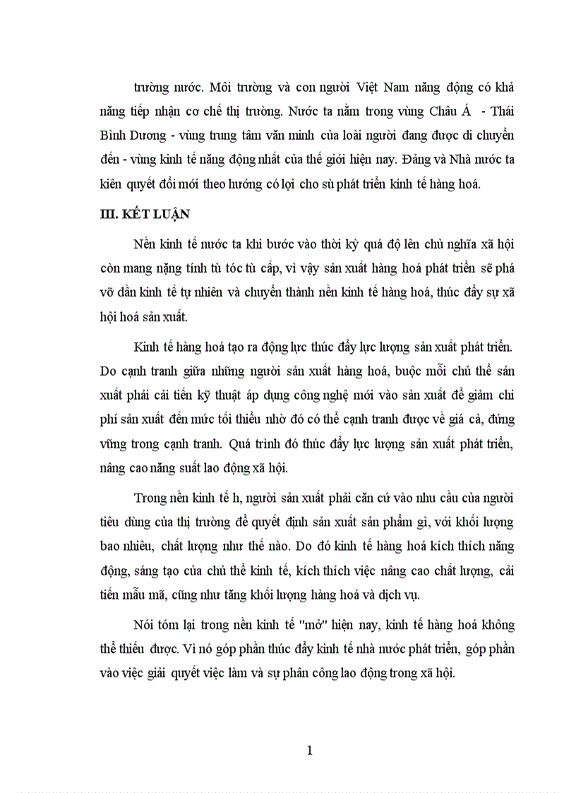 image for page Nền kinh tế hàng hoá nước ta trong quá trình hội nhập kinh tế quốc tế 1