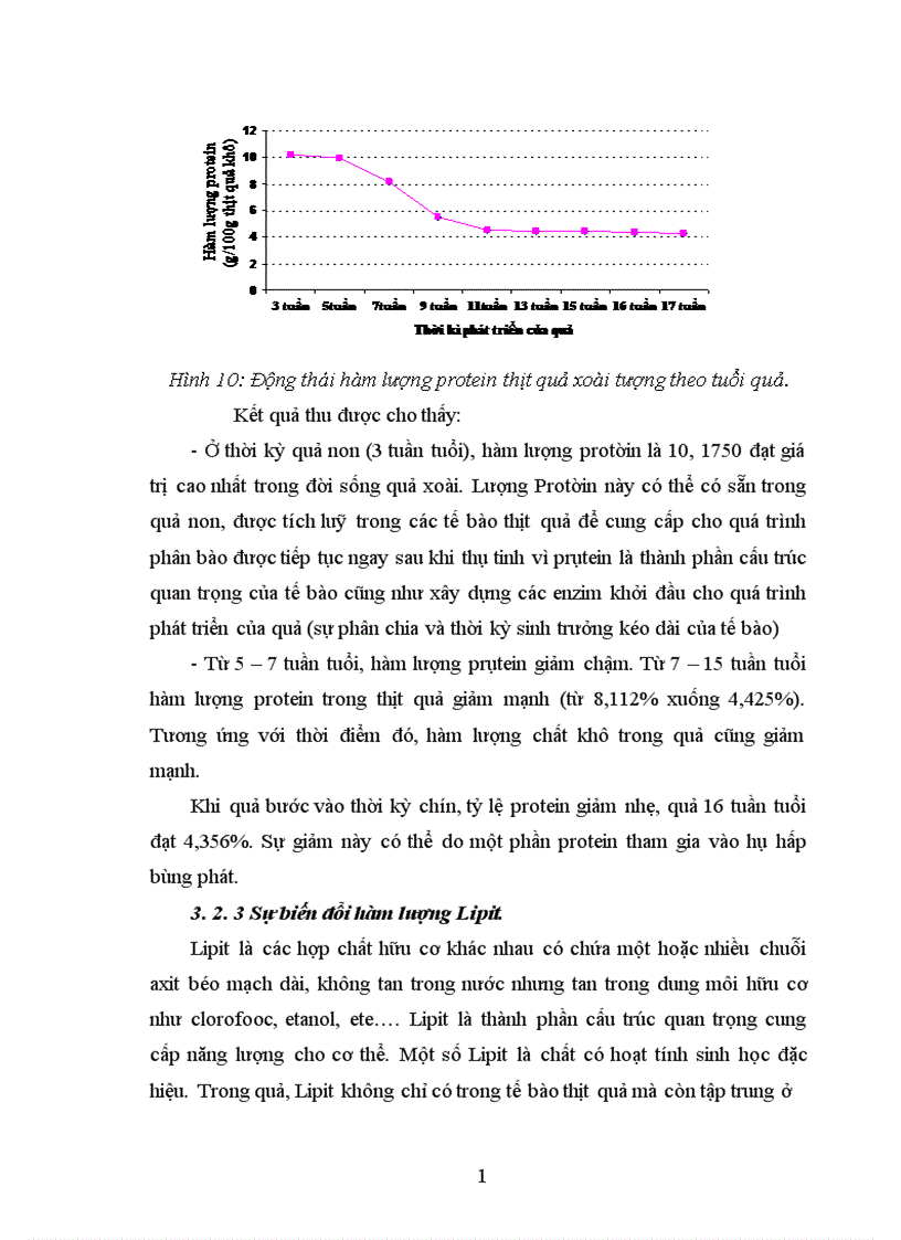 image for page Nghiên cứu động thái một số chỉ tiêu sinh lý hoá sinh theo tiến trình sinh trưởng phát triển của quả xoài Mangifera India L giống xoài tượng tại Lạng Giang Bắc Giang