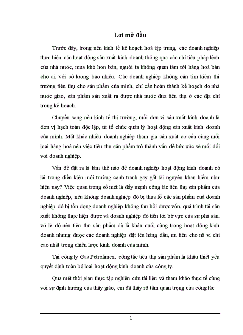 image for page Một số vấn đề về Hoạt động tiêu thụ sản phẩm của công ty Gas Petrolimex 1