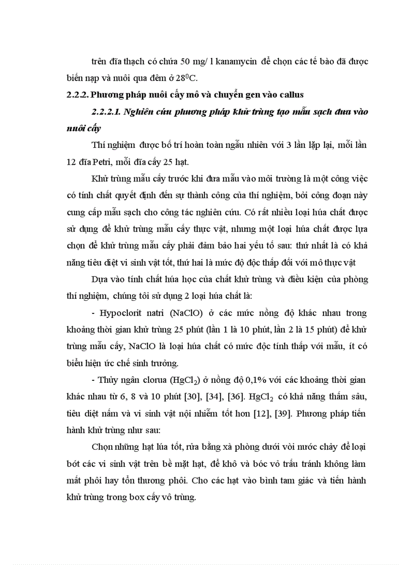 image for page Nghiên cứu tạo cây lúa chuyển gen Chitinase kháng bệnh đạo ôn nhờ vi khuẩn Agrobacterium tumefaciens 1