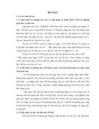 Xây dựng và sử dụng bài giảng điện tử Chương II phần Di truyền học SH12 theo hướng TH TTĐPT