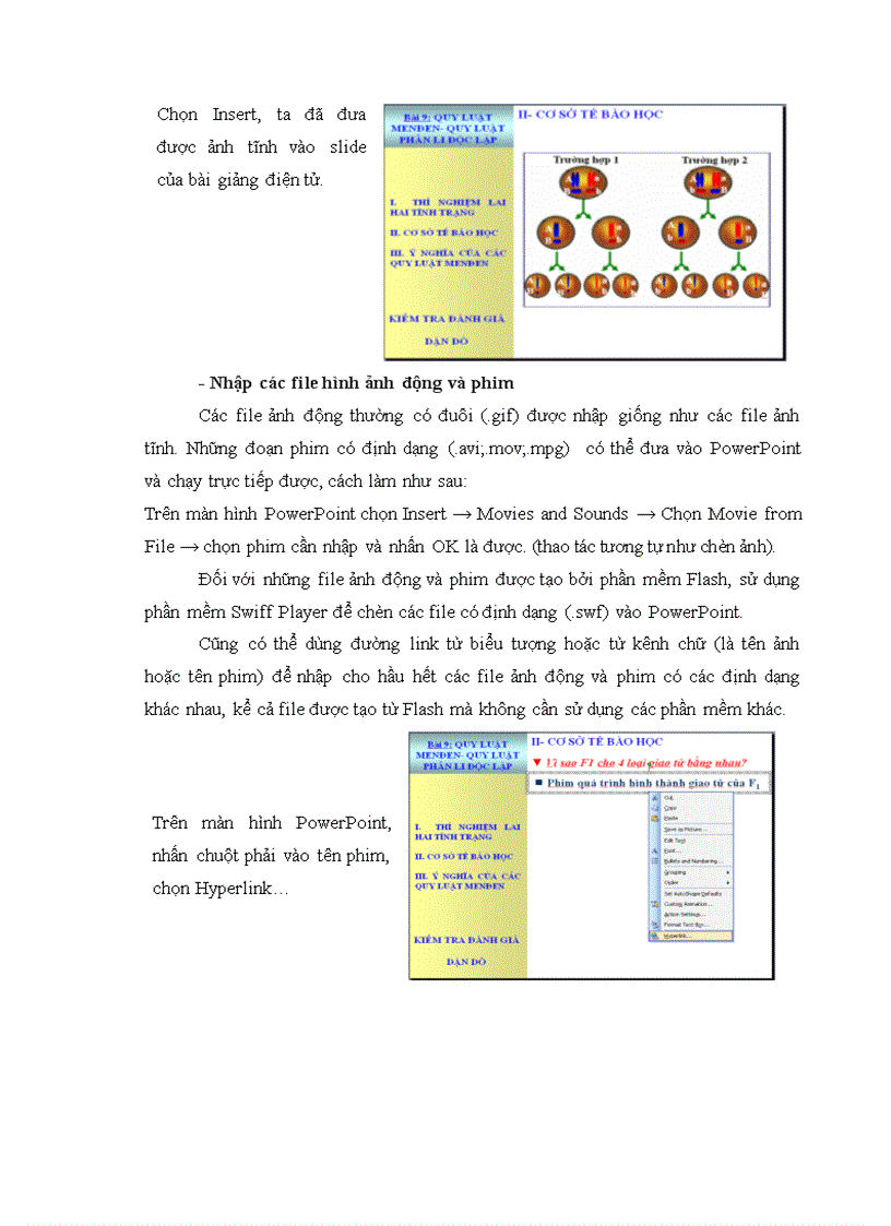 image for page Xây dựng và sử dụng bài giảng điện tử Chương II phần Di truyền học SH12 theo hướng TH TTĐPT
