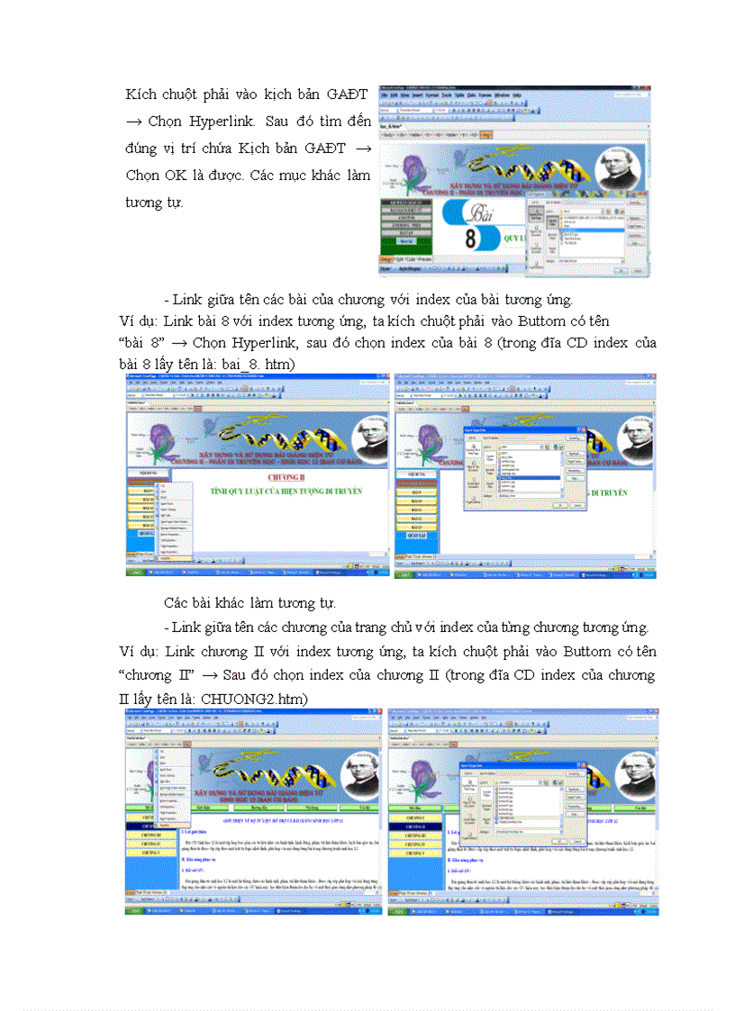 image for page Xây dựng và sử dụng bài giảng điện tử Chương II phần Di truyền học SH12 theo hướng TH TTĐPT