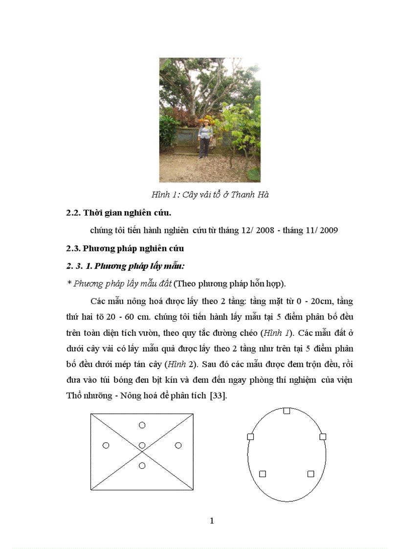 image for page Nghiên cứu ảnh hưởng của một số nhân tố sinh thái tới năng suất và chất lượng của cây vải thiều litchichinensis Sonn