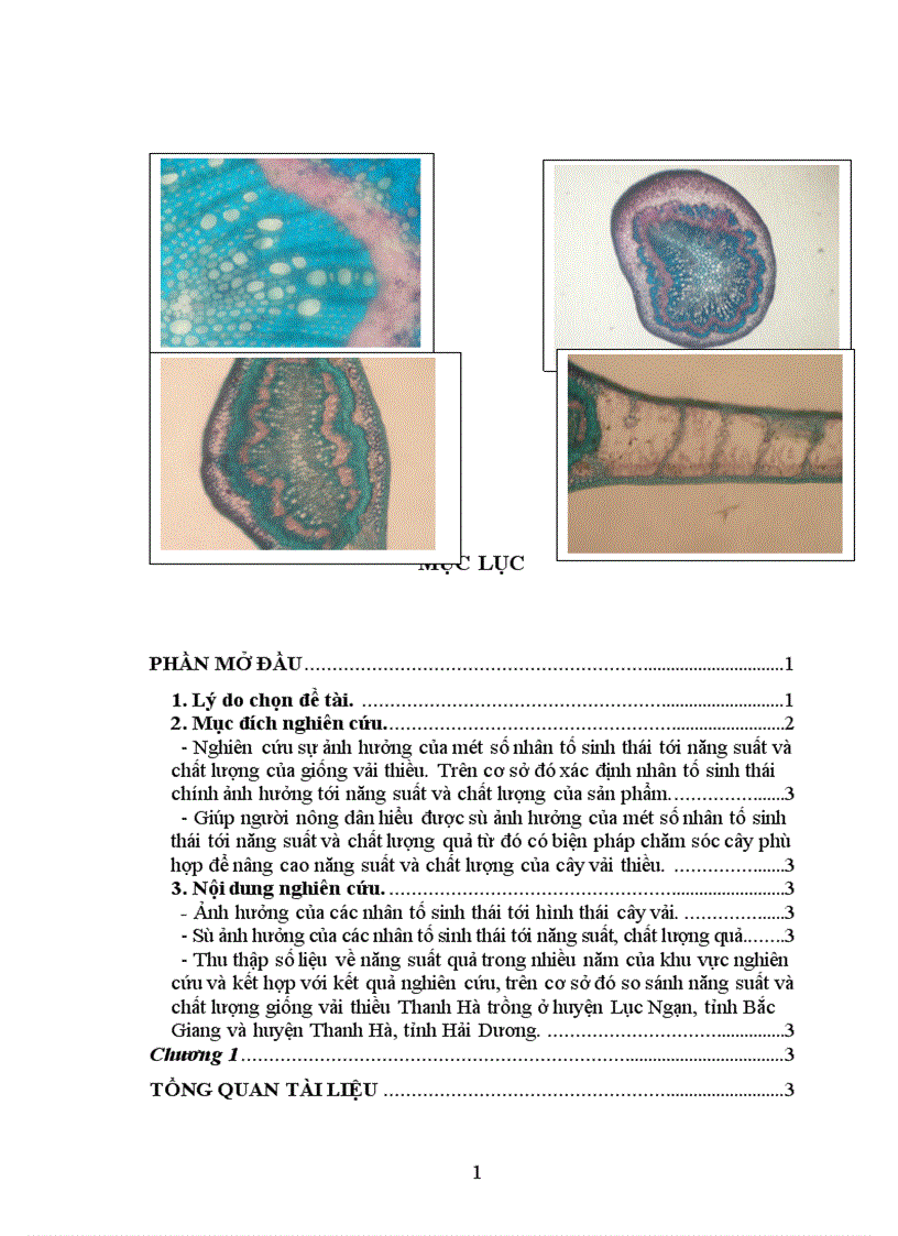 image for page Nghiên cứu ảnh hưởng của một số nhân tố sinh thái tới năng suất và chất lượng của cây vải thiều litchichinensis Sonn
