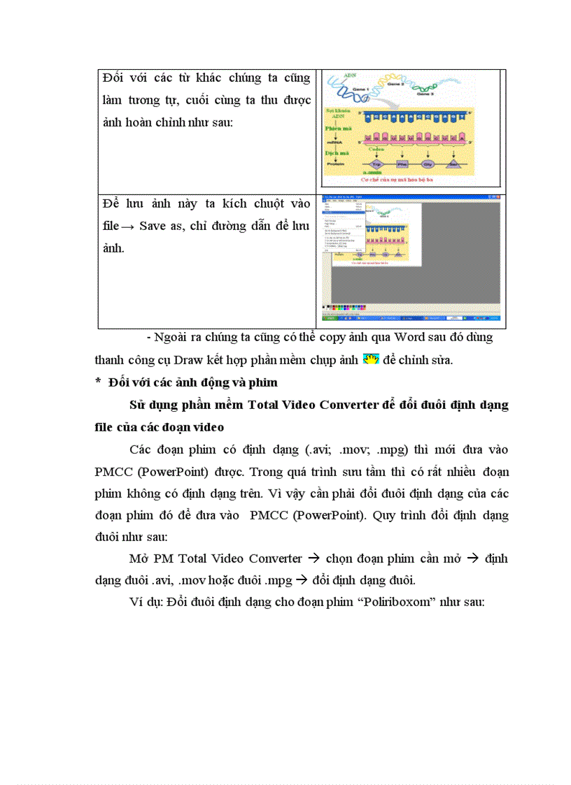 image for page Xây dựng và sử dụng bài giảng điện tử chương I phần di truyền học Sinh học 12 Ban cơ bản theo hướng tích hợp truyền thông đa phương tiện 1