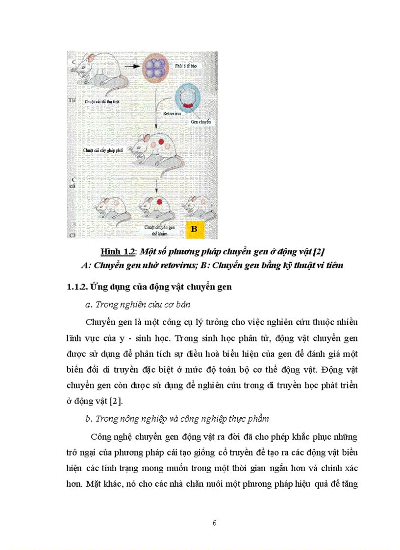 image for page Thử nghiệm chuyển gen GFP trên gà Gallus gallus domesticus sử dụng vector pT2 BH CVpf SB11 bằng phương pháp chuyển gen qua tinh trùng và vi tiêm vào phôi gà 0 giờ ấp 1