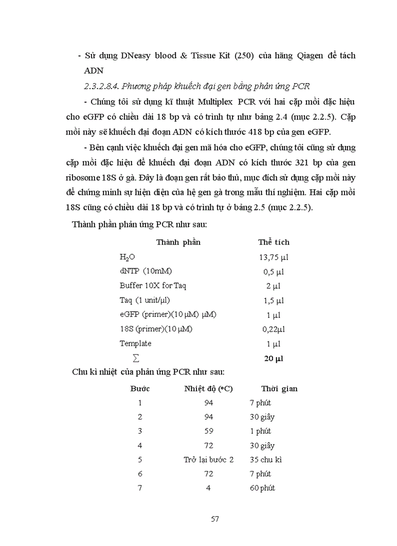image for page Thử nghiệm chuyển gen GFP trên gà Gallus gallus domesticus sử dụng vector pT2 BH CVpf SB11 bằng phương pháp chuyển gen qua tinh trùng và vi tiêm vào phôi gà 0 giờ ấp 1