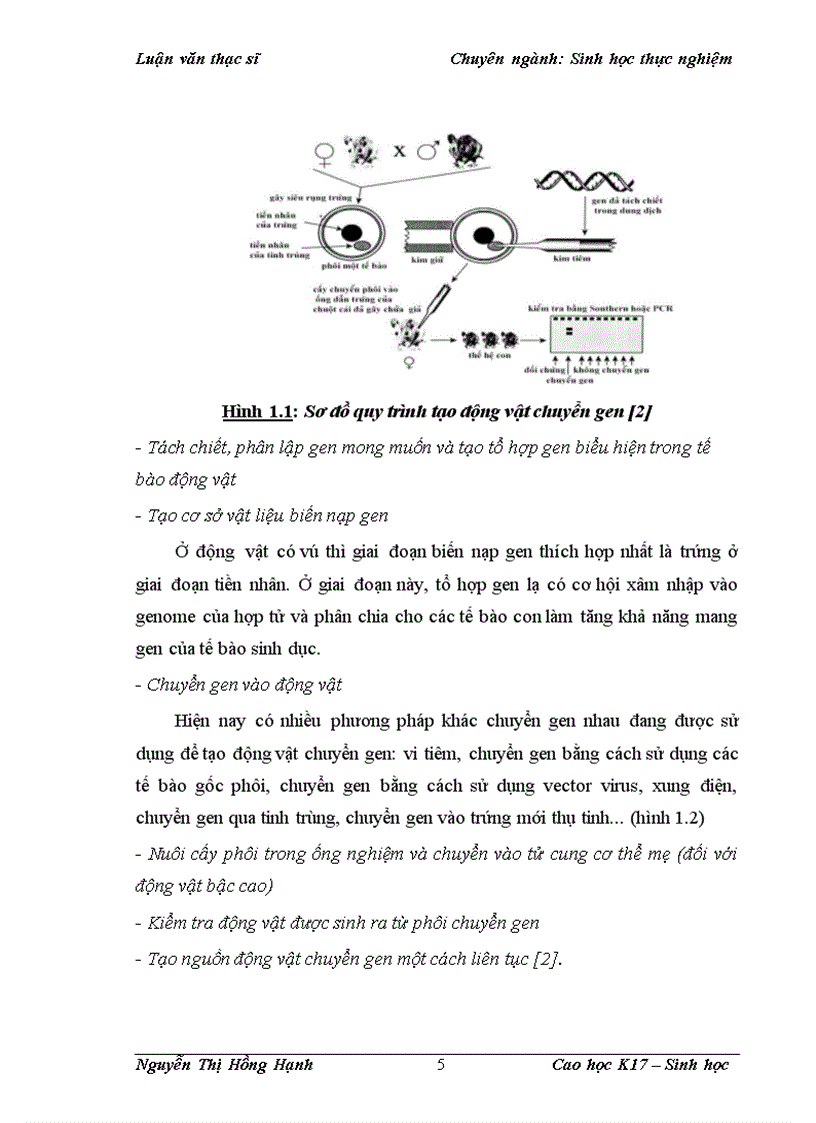 image for page Thử nghiệm chuyển gen GFP trên gà Gallus Gallus Domesticus sử dụng vector pT2 BH CVpf SB11 bằng phương pháp chuyển gen qua tinh trùng và vi tiêm vào phôi gà 0 giờ ấp 1