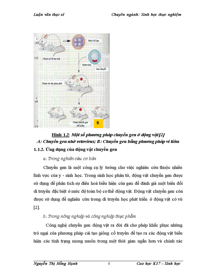 image for page Thử nghiệm chuyển gen GFP trên gà Gallus Gallus Domesticus sử dụng vector pT2 BH CVpf SB11 bằng phương pháp chuyển gen qua tinh trùng và vi tiêm vào phôi gà 0 giờ ấp 1