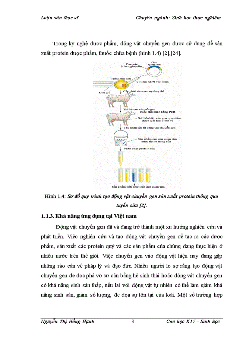 image for page Thử nghiệm chuyển gen GFP trên gà Gallus Gallus Domesticus sử dụng vector pT2 BH CVpf SB11 bằng phương pháp chuyển gen qua tinh trùng và vi tiêm vào phôi gà 0 giờ ấp 1