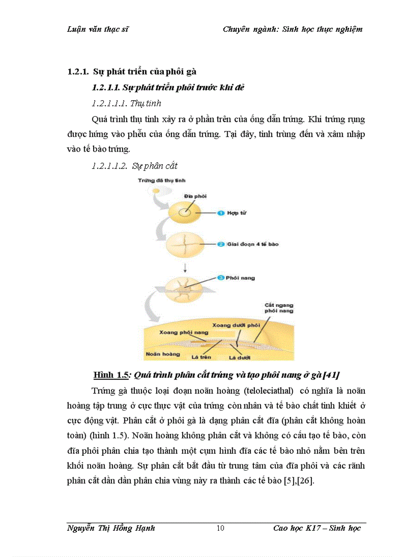 image for page Thử nghiệm chuyển gen GFP trên gà Gallus Gallus Domesticus sử dụng vector pT2 BH CVpf SB11 bằng phương pháp chuyển gen qua tinh trùng và vi tiêm vào phôi gà 0 giờ ấp 1