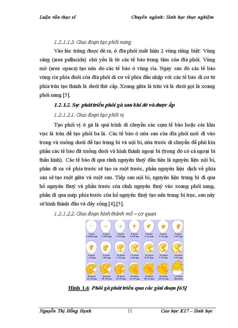 image for page Thử nghiệm chuyển gen GFP trên gà Gallus Gallus Domesticus sử dụng vector pT2 BH CVpf SB11 bằng phương pháp chuyển gen qua tinh trùng và vi tiêm vào phôi gà 0 giờ ấp 1