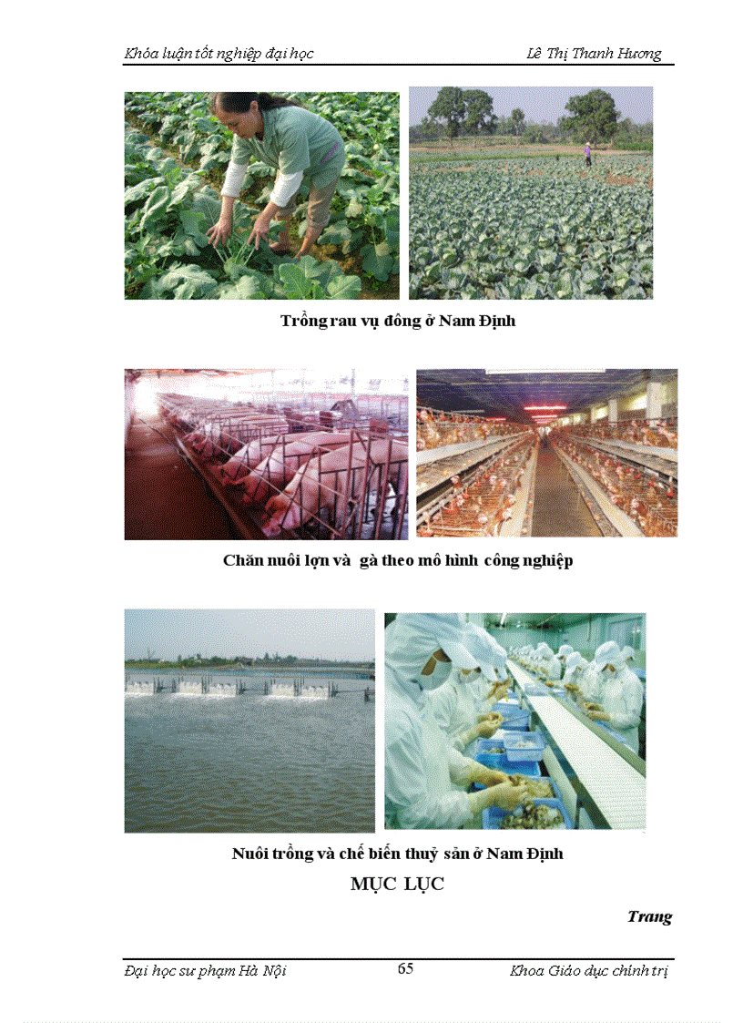 image for page Đảng bộ tỉnh Nam Định lãnh đạo phát triển nông nghiệp giai đoạn 1997 2008