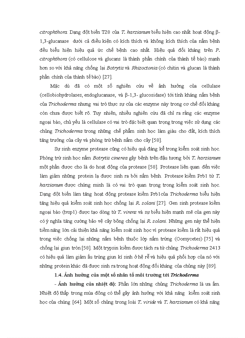 image for page Nghiên cứu khả năng đối kháng và tiềm năng ứng dụng của một số chủng Trichoderma phân lập từ RNM trên một số nấm bệnh thực vật