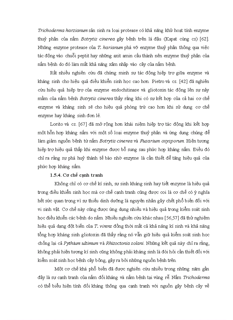 image for page Nghiên cứu khả năng đối kháng và tiềm năng ứng dụng của một số chủng Trichoderma phân lập từ RNM trên một số nấm bệnh thực vật