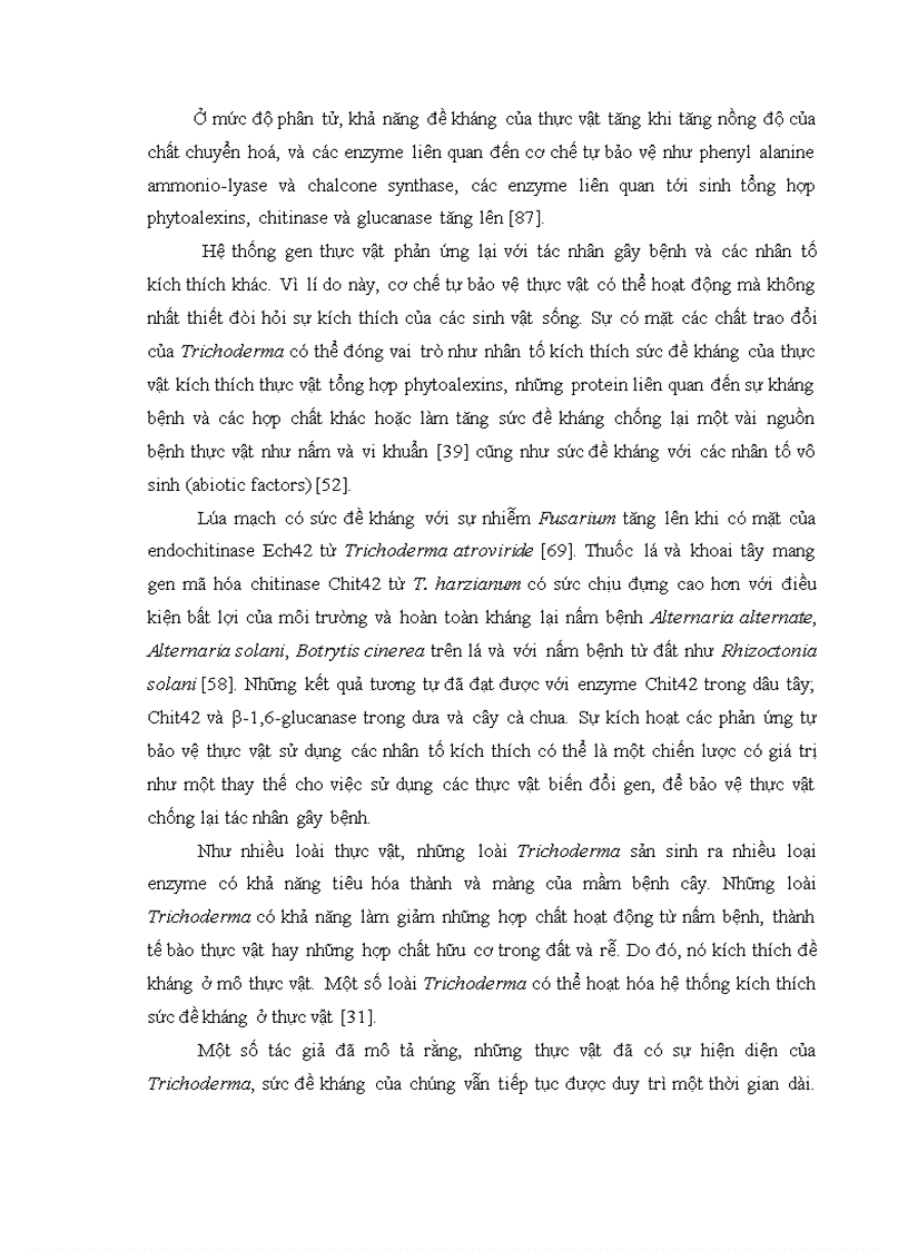 image for page Nghiên cứu khả năng đối kháng và tiềm năng ứng dụng của một số chủng Trichoderma phân lập từ RNM trên một số nấm bệnh thực vật