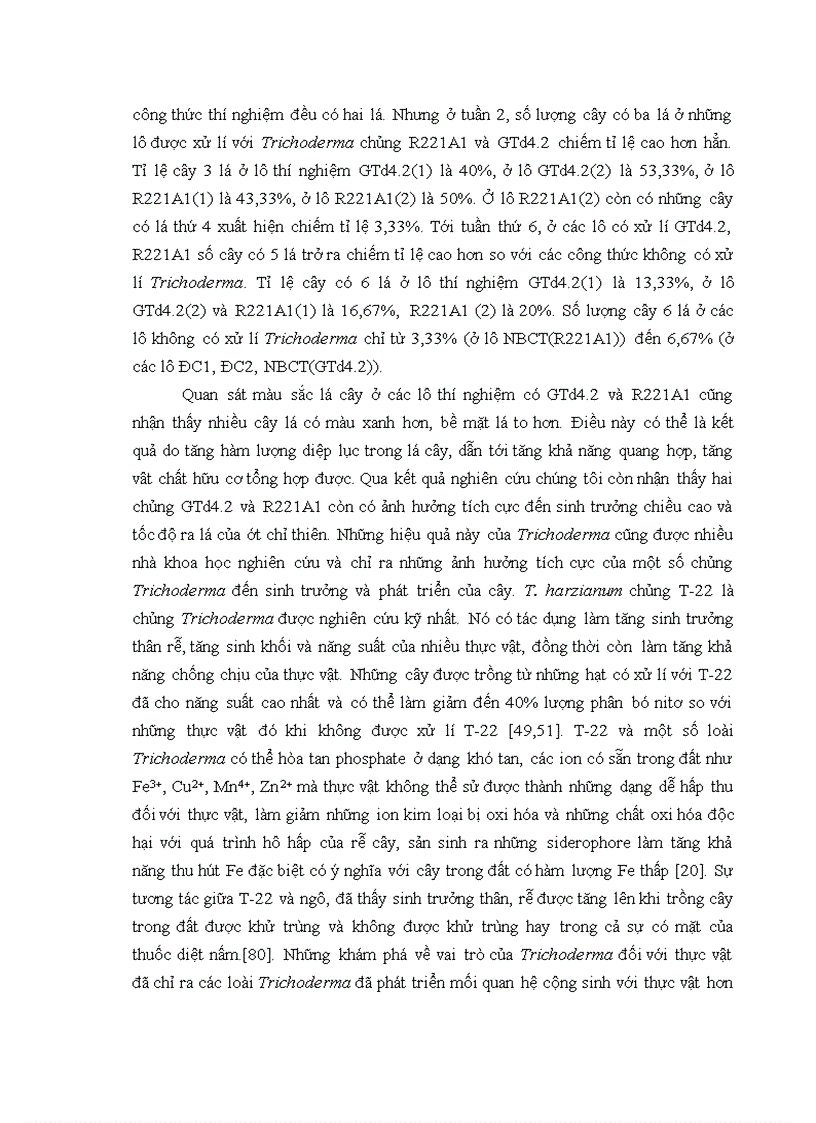 image for page Nghiên cứu khả năng đối kháng và tiềm năng ứng dụng của một số chủng Trichoderma phân lập từ RNM trên một số nấm bệnh thực vật