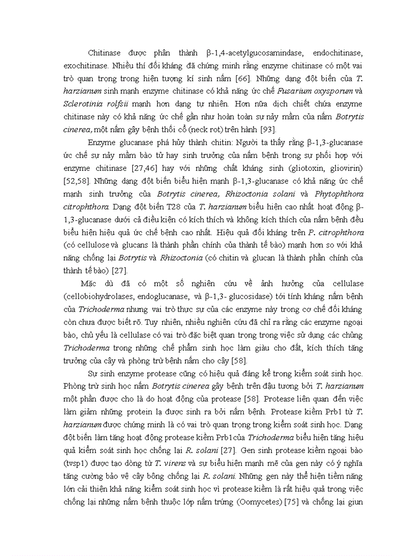 image for page Nghiên cứu khả năng đối kháng và tiềm năng ứng dụng của một số chủng Trichoderma phân lập từ RNM trên một số nấm bệnh thực vật
