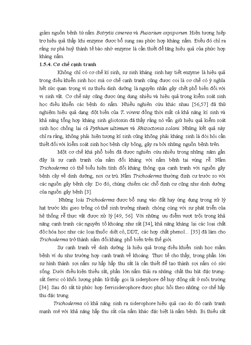 image for page Nghiên cứu khả năng đối kháng và tiềm năng ứng dụng của một số chủng Trichoderma phân lập từ RNM trên một số nấm bệnh thực vật