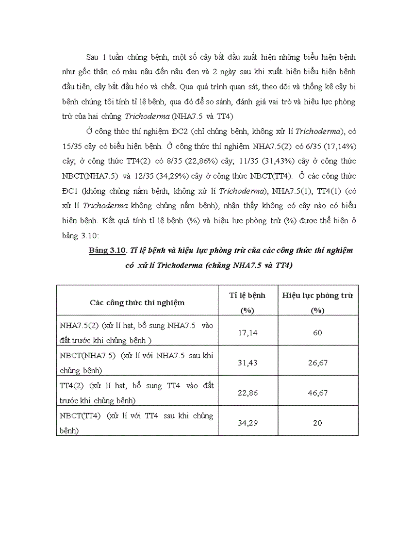 image for page Nghiên cứu khả năng đối kháng và tiềm năng ứng dụng của một số chủng Trichoderma phân lập từ RNM trên một số nấm bệnh thực vật