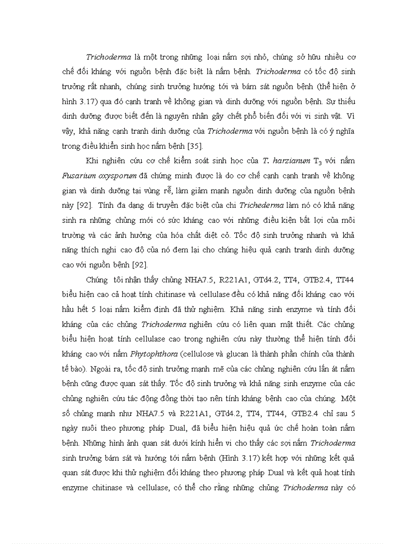 image for page Nghiên cứu khả năng đối kháng và tiềm năng ứng dụng của một số chủng Trichoderma phân lập từ RNM trên một số nấm bệnh thực vật
