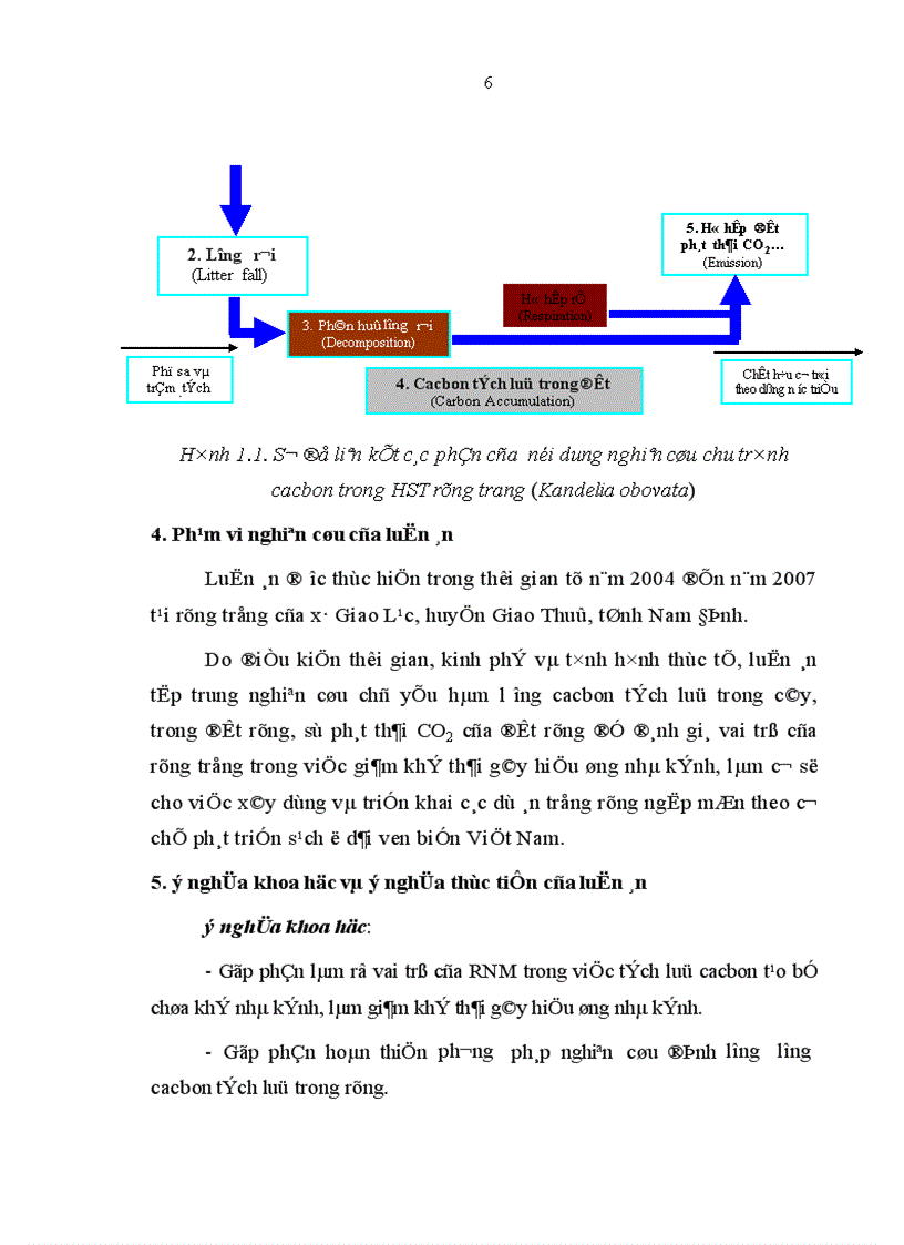 image for page Nghiên cứu khả năng tích luỹ cacbon của rừng trang Kandelia obovata Sheue Liu Yong trồng ven biển huyện Giao Thuỷ tỉnh Nam Định