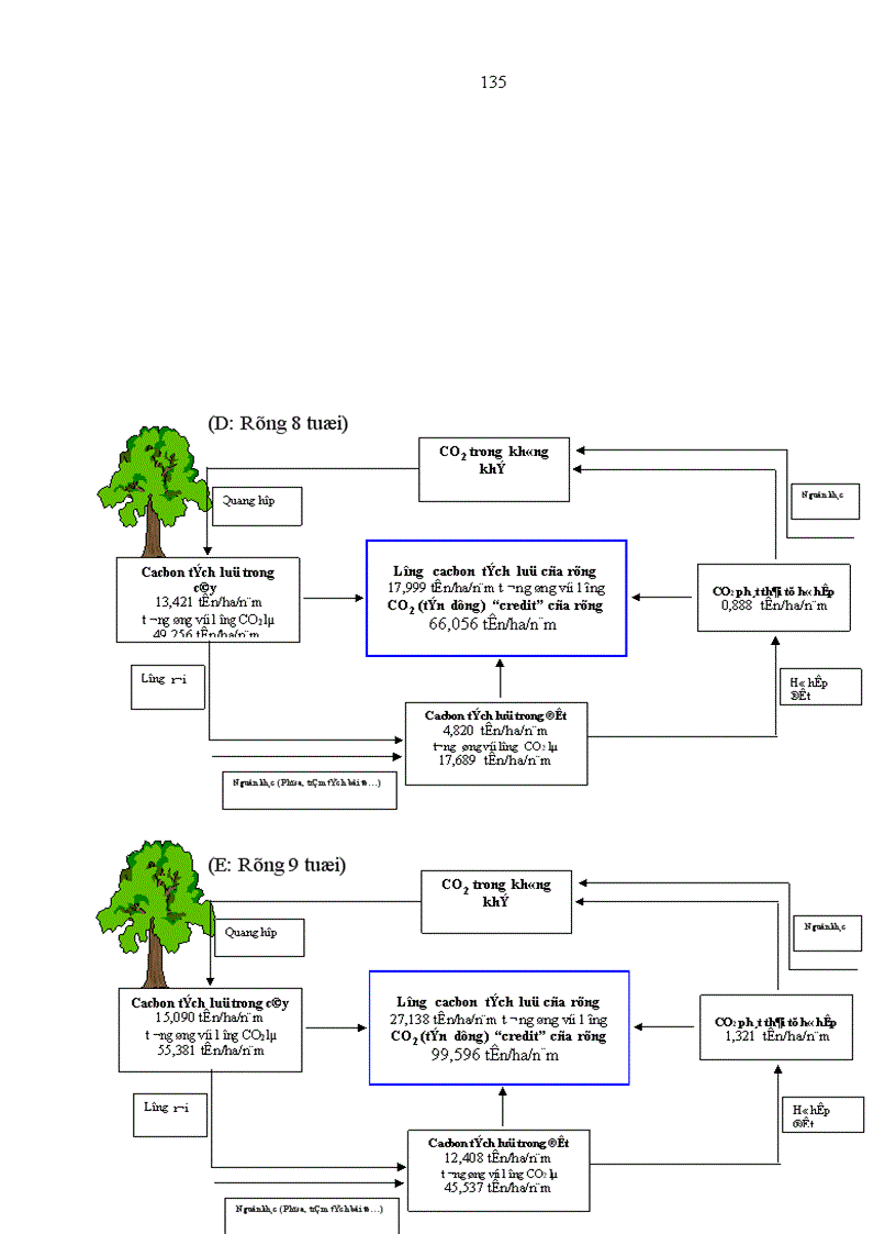 image for page Nghiên cứu khả năng tích luỹ cacbon của rừng trang Kandelia obovata Sheue Liu Yong trồng ven biển huyện Giao Thuỷ tỉnh Nam Định