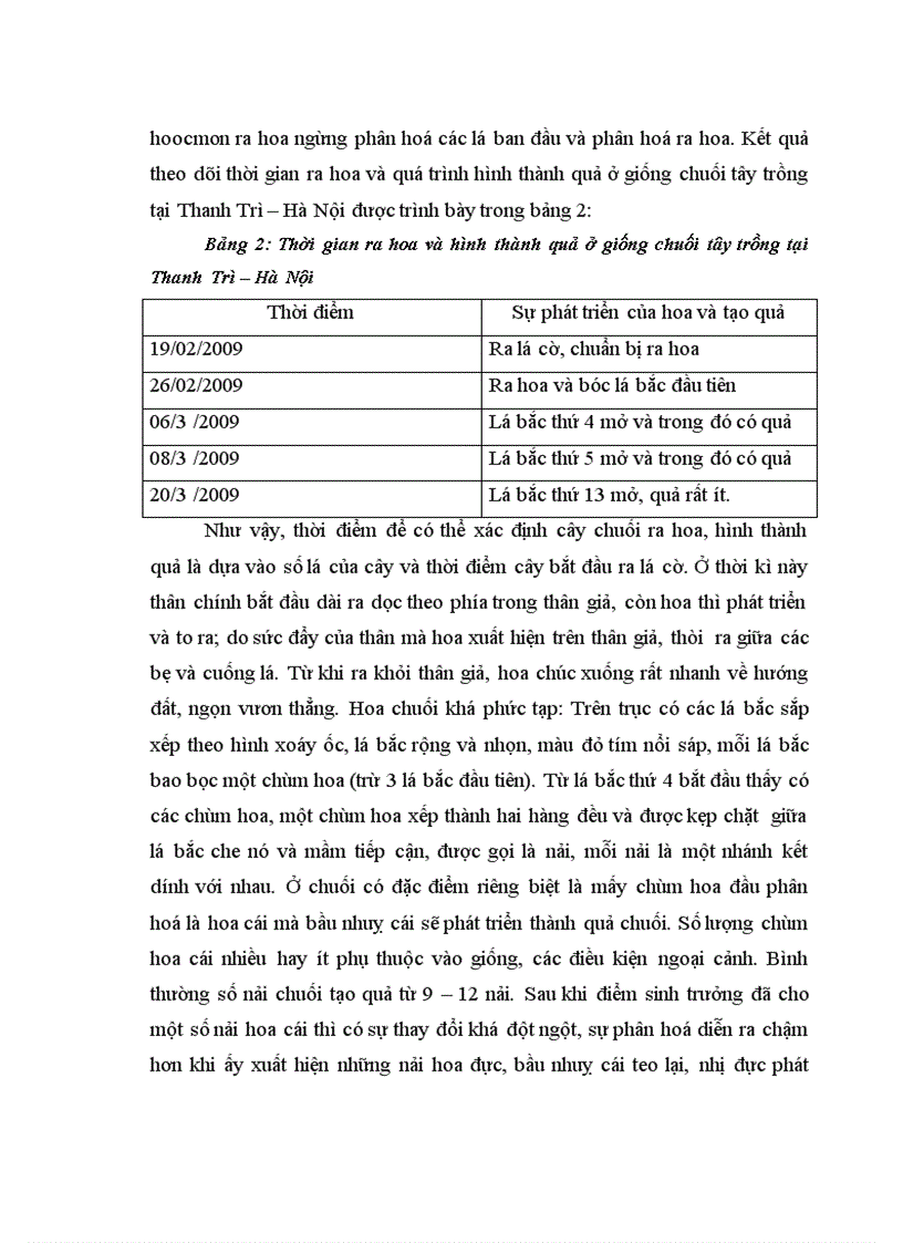 image for page Nghiên cứu động thái một số chỉ tiêu sinh lý hoá sinh theo tiến trình sinh trưởng phát triển của quả chuối tây tại huyện Thanh Trì Hà Nội 1