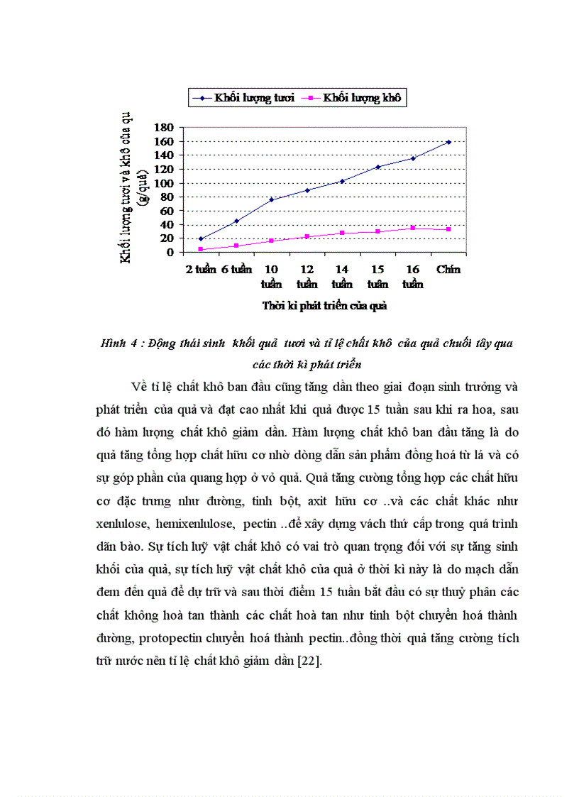 image for page Nghiên cứu động thái một số chỉ tiêu sinh lý hoá sinh theo tiến trình sinh trưởng phát triển của quả chuối tây tại huyện Thanh Trì Hà Nội 1