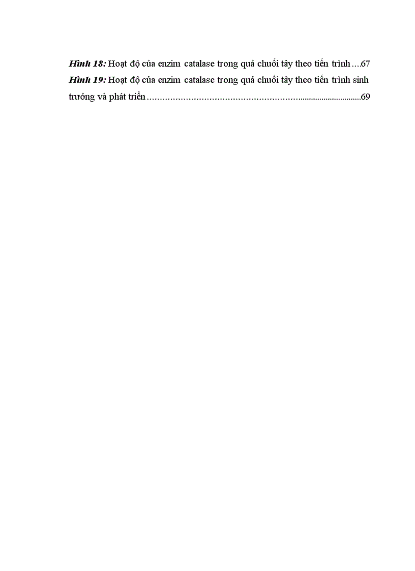 image for page Nghiên cứu động thái một số chỉ tiêu sinh lý hoá sinh theo tiến trình sinh trưởng phát triển của quả chuối tây tại huyện Thanh Trì Hà Nội 1