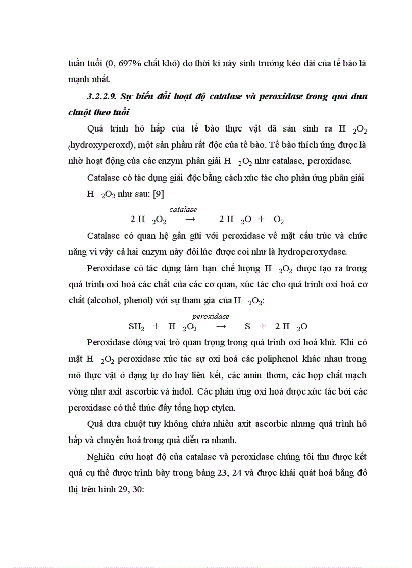 image for page Động thái một số chỉ tiêu sinh li hóa sinh theo tiến trình phát triển của quả dưa chuột Cucumis sativus L tại Sóc Sơn Hà Nội