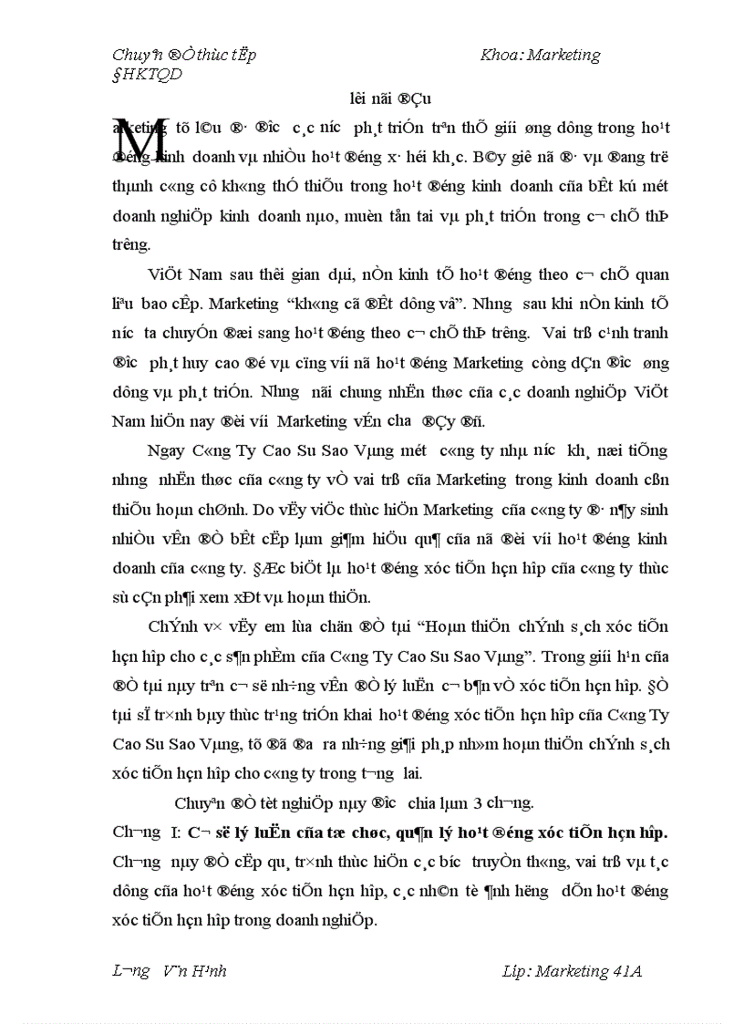 image for page Hoàn thiện chính sách xúc tiến hỗn hợp cho các sản phẩm của Công Ty Cao Su Sao Vàng 1