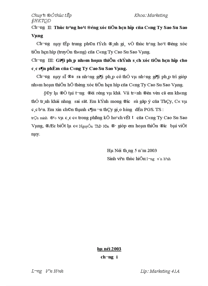 image for page Hoàn thiện chính sách xúc tiến hỗn hợp cho các sản phẩm của Công Ty Cao Su Sao Vàng 1