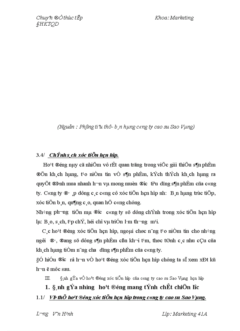 image for page Hoàn thiện chính sách xúc tiến hỗn hợp cho các sản phẩm của Công Ty Cao Su Sao Vàng 1