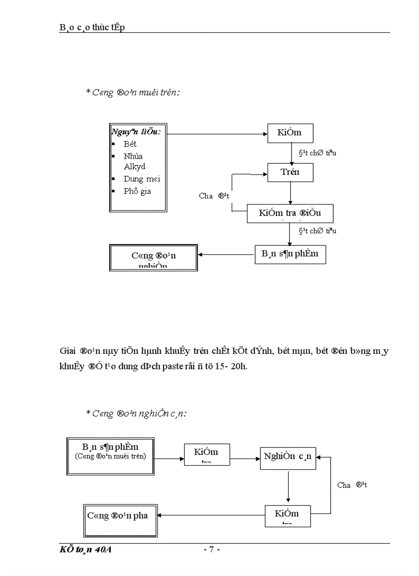 image for page Báo cáo tổng hợp tình hình tổ chức bộ máy kế toán và công tác kế toán của Công ty Sơn tổng hợp Hà Nội 1