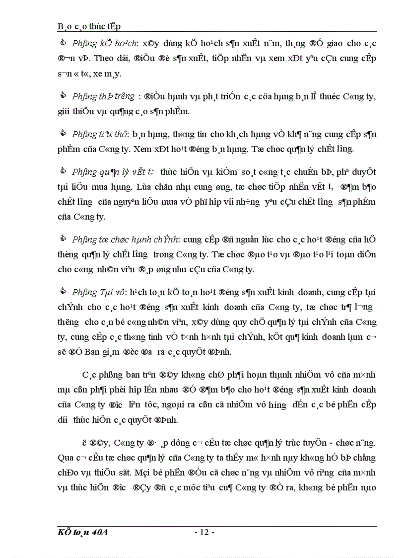 image for page Báo cáo tổng hợp tình hình tổ chức bộ máy kế toán và công tác kế toán của Công ty Sơn tổng hợp Hà Nội 1