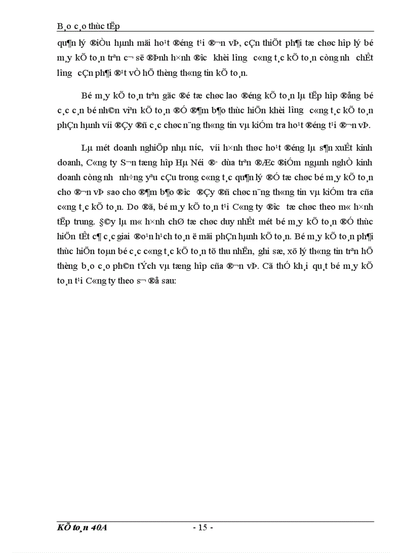 image for page Báo cáo tổng hợp tình hình tổ chức bộ máy kế toán và công tác kế toán của Công ty Sơn tổng hợp Hà Nội 1