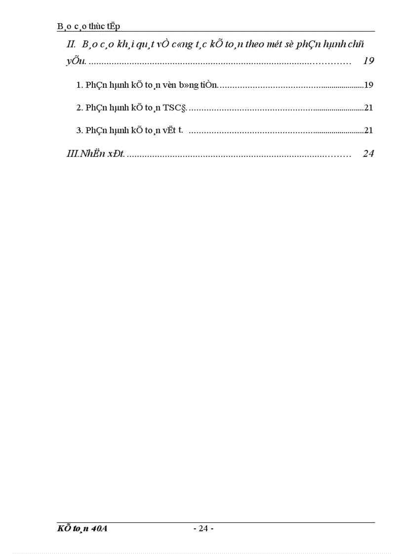 image for page Báo cáo tổng hợp tình hình tổ chức bộ máy kế toán và công tác kế toán của Công ty Sơn tổng hợp Hà Nội 1