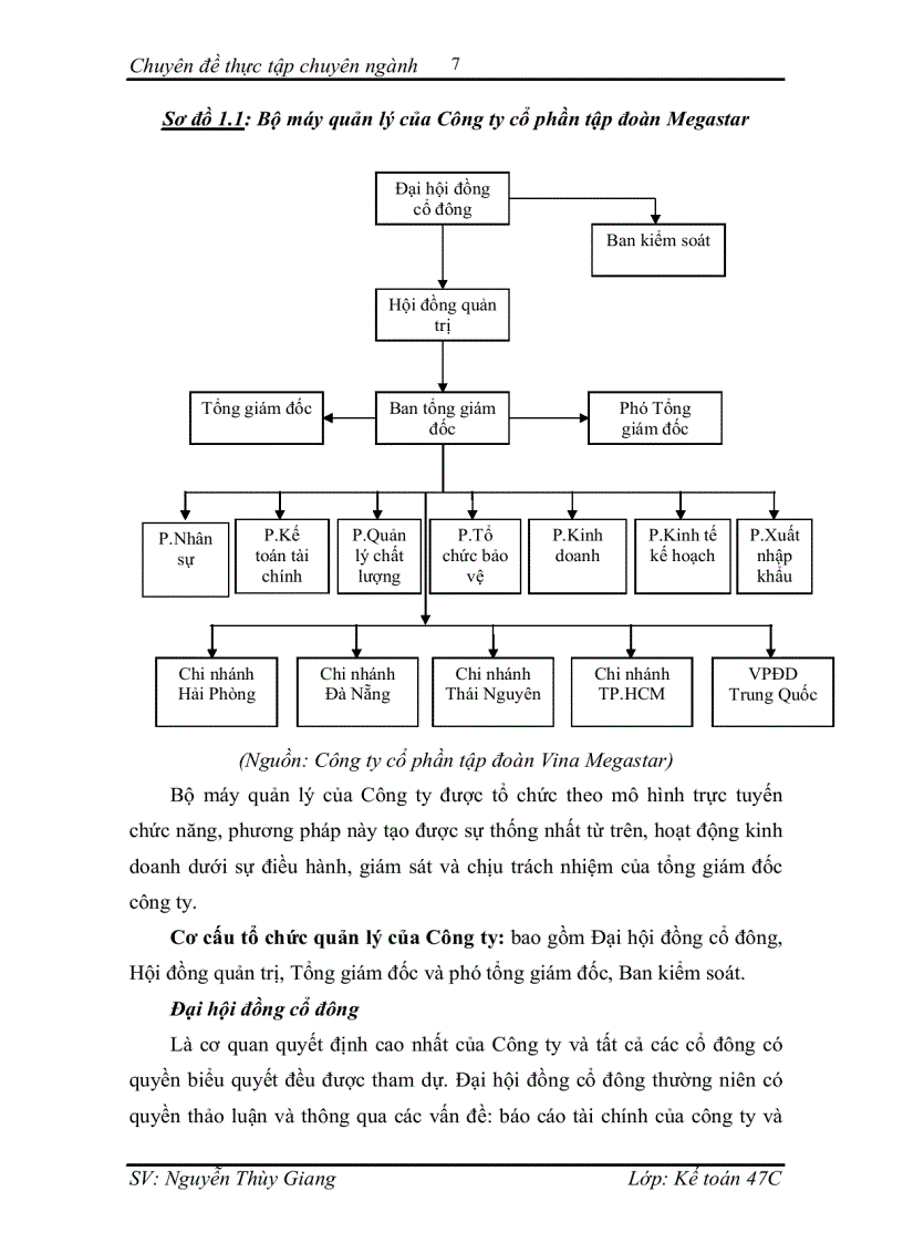 image for page Hoàn thiện kế toán tiêu thụ hàng hóa và xác định kết quả tiêu thụ hàng hóa tại Công ty cổ phần tập đoàn Vina Megastar
