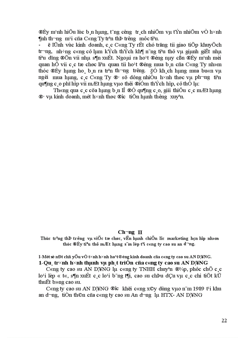 image for page Một số giải pháp marketing nhằm thúc đẩy tiêu thụ sản phẩm tại Công ty cao su An Dương 1