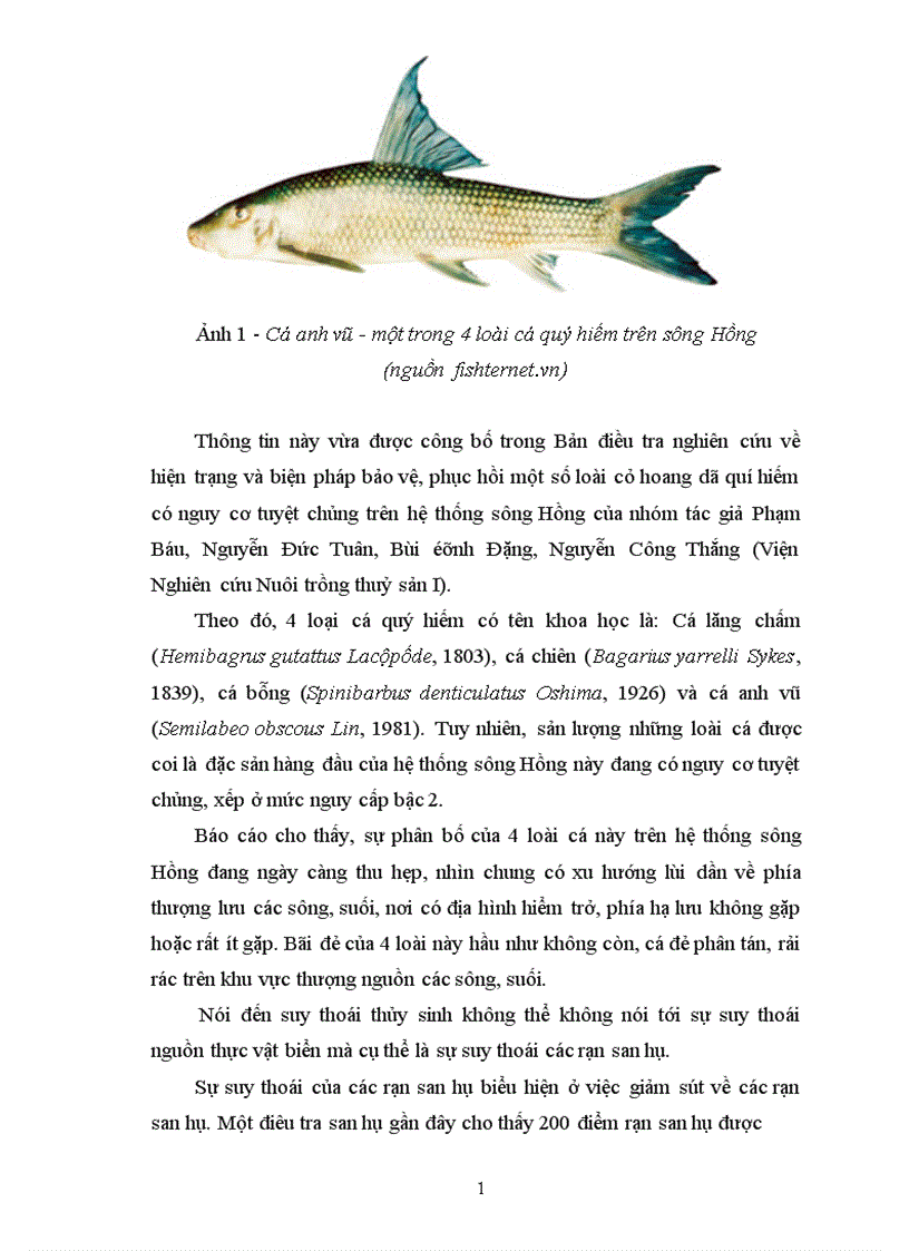 image for page Pháp luật về kiểm soát suy thoái thuỷ sinh