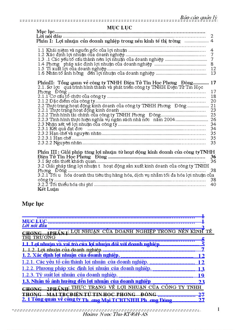 Báo cáo về tình hình lợi nhuận của công ty TNHH Điện tử và Tin học Phương Đông 1