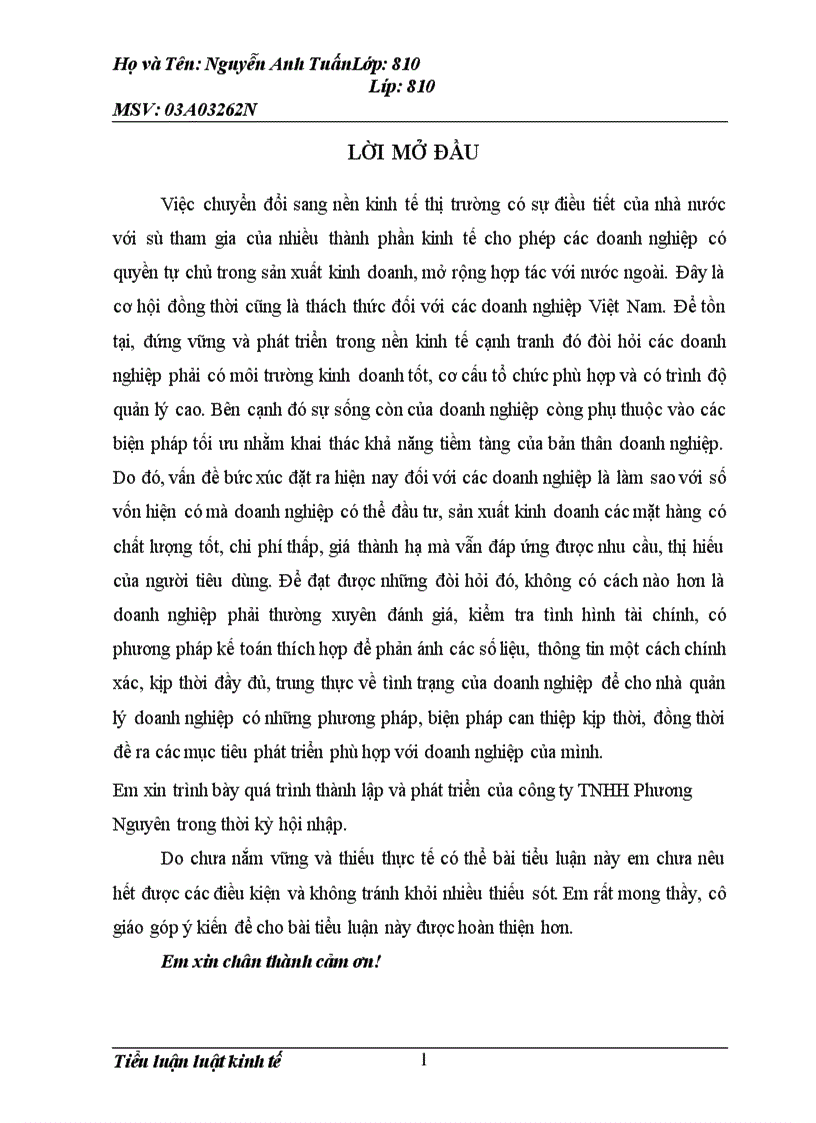 image for page quá trình thành lập và phát triển của công ty TNHH Phương Nguyên trong thời kỳ hội nhập