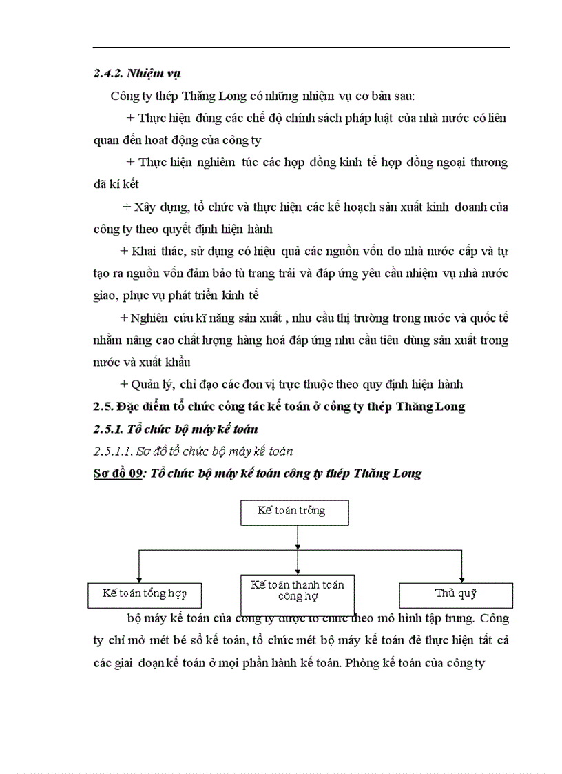 image for page Hoàn thiện công tác kế toán nghiệp vụ bán hàng tại công ty Thép Thăng Long 1